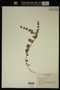 Image Associated With the Occurrence