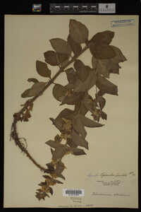 Image Associated With the Occurrence