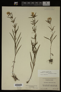 Image Associated With the Occurrence
