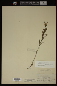 Image Associated With the Occurrence