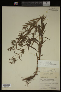 Image Associated With the Occurrence