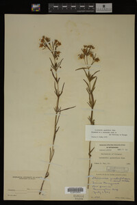 Image Associated With the Occurrence