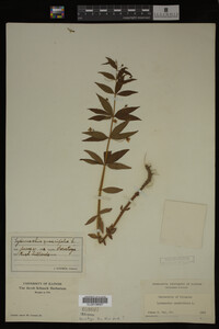 Image Associated With the Occurrence
