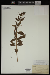 Image Associated With the Occurrence