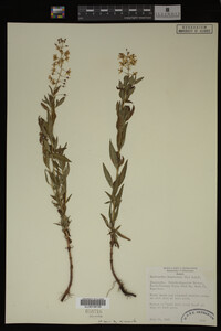 Image Associated With the Occurrence
