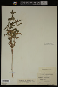 Image Associated With the Occurrence