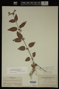 Image Associated With the Occurrence