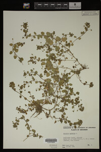 Image Associated With the Occurrence