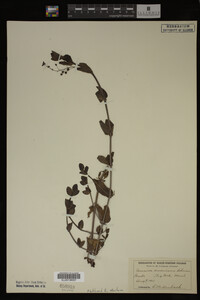 Image Associated With the Occurrence