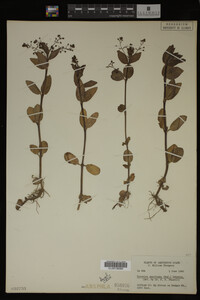 Image Associated With the Occurrence