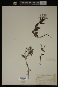 Image Associated With the Occurrence