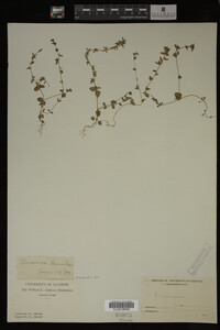 Image Associated With the Occurrence