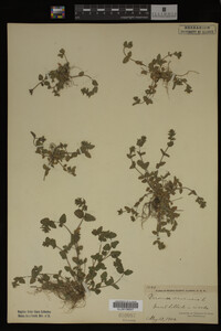 Image Associated With the Occurrence