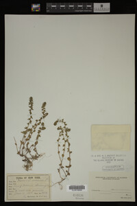 Image Associated With the Occurrence