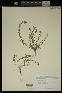 Image Associated With the Occurrence