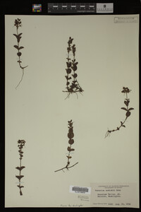 Image Associated With the Occurrence