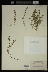 Image Associated With the Occurrence