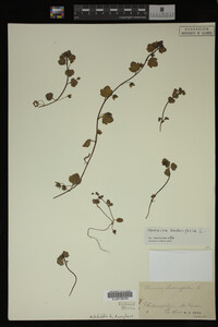 Image Associated With the Occurrence