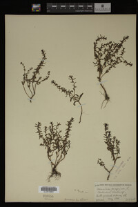 Image Associated With the Occurrence