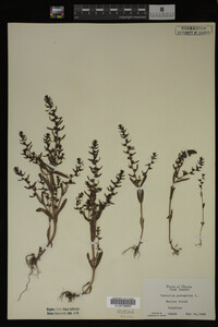 Image Associated With the Occurrence