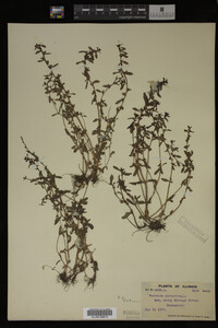 Image Associated With the Occurrence