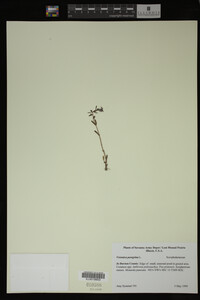 Image Associated With the Occurrence