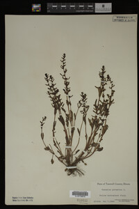 Image Associated With the Occurrence