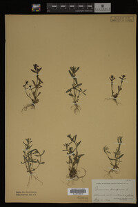 Image Associated With the Occurrence