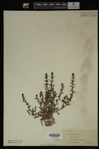 Image Associated With the Occurrence