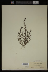 Image Associated With the Occurrence