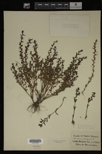 Image Associated With the Occurrence