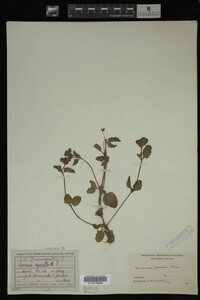 Image Associated With the Occurrence
