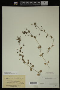 Image Associated With the Occurrence