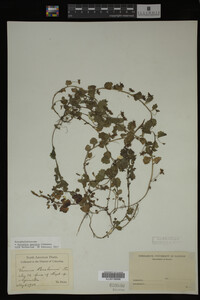 Image Associated With the Occurrence