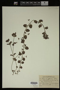 Image Associated With the Occurrence