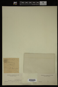 Image Associated With the Occurrence