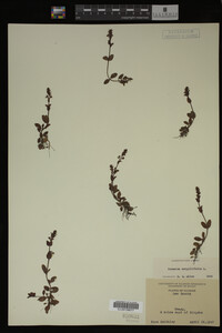 Image Associated With the Occurrence