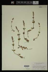 Image Associated With the Occurrence