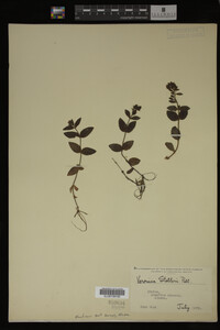 Image Associated With the Occurrence