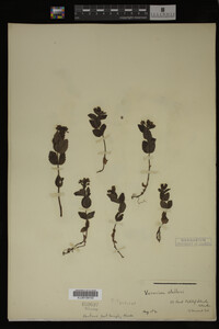 Image Associated With the Occurrence