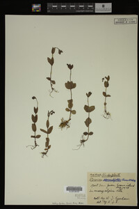 Image Associated With the Occurrence