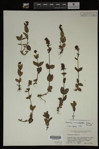 Image Associated With the Occurrence