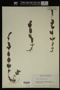 Image Associated With the Occurrence