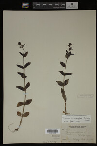 Image Associated With the Occurrence