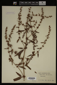 Image Associated With the Occurrence