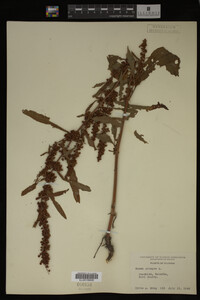 Image Associated With the Occurrence