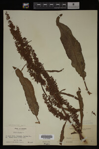 Image Associated With the Occurrence