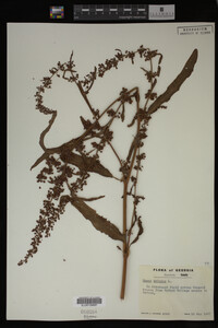 Image Associated With the Occurrence