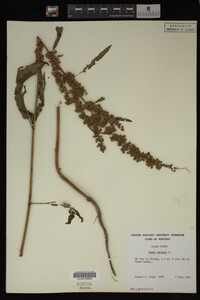 Image Associated With the Occurrence