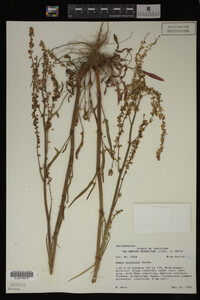 Image Associated With the Occurrence